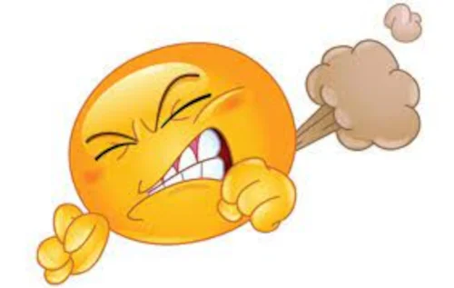 Stinky Fart